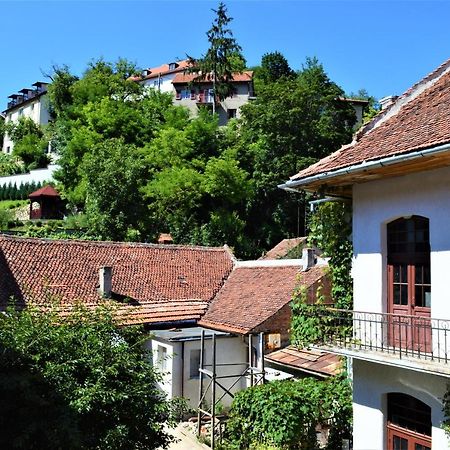 Eco Studio Braşov Eksteriør bilde